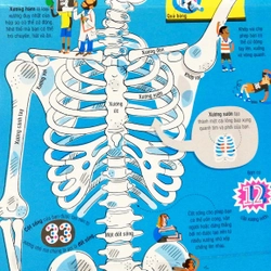 Cuốn sách khổng lồ về cơ thể người (mới) 503788