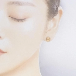 Khuyên tai Hermès Ex Libris TPM 665911