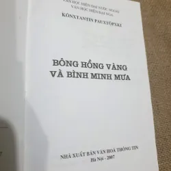 Bông Hồng vàng & Bình minh mưa  973482