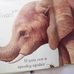 If You See a Kitten 993532