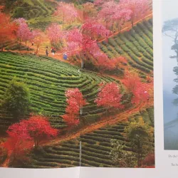 Việt Nam Hạnh phúc - HAPPY VIETNAM 711956