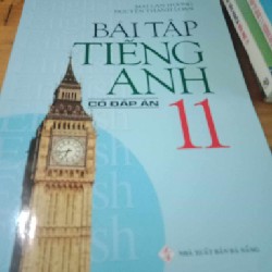 Bài tập Tiếng Anh 11