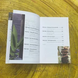 COMBO OSHO: THIỀN & YÊU  754687