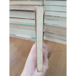 Thích tình nhã thú - Đỗ Lương Nhất 720286