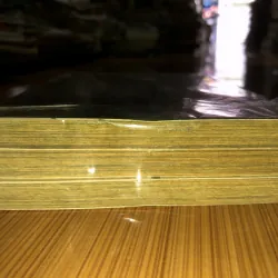 Sư tử tháng 3 - Chica Umino 779699