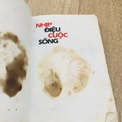 NHỊP ĐIỆU CUỘC SỐNG  929079