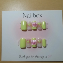 Nail box ngắn màu cute 302996