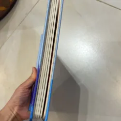 NGOẠI VĂN tiếng anh trẻ em : Never Feed a Shark ! - sách bìa cứng dày đẹp - tương tác  1027550