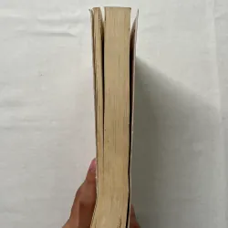 The Sellout - Paul Beatty  760225