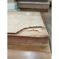 Những vấn đề địa chất Tây Bắc Việt Nam - Tổng Cục Địa Chất, Liên Đoàn Bản Đồ Địa Chất 1041381