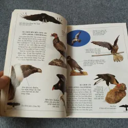 ĐẠI BÀNG - TỦ SÁCH KIẾN THỨC THẾ HỆ MỚI 720727