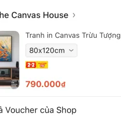 pass tranh canvas còn mới , k trầy xước, 80x120cm 800825