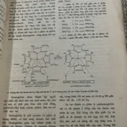 Sinh lý học, in năm 1991, Đại học Y dược Tp Hồ Chí Minh 1021241