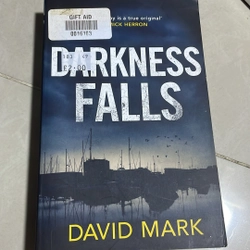 Darkness falls - David Mark