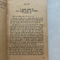 Nuôi vịt ngỗng chăn thả — 1979s 498350