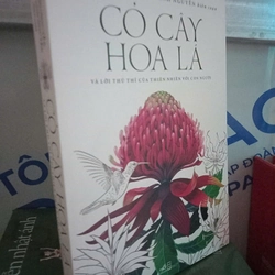 CỎ CÂY HOA LÁ 357148