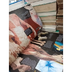 Guinness world records 2007 797797