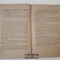 Văn học kinh điển: RUỒI TRÂU (Ethel Lilian Voynich) 709246