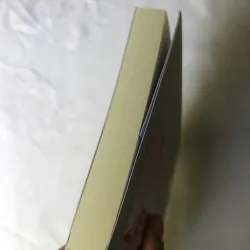 Người Phụ Nữ Lừa Cả Thế Giới - Beau Donelly, Nick Toscano 977292