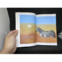 [Phiên Chợ Sách Cũ] Yêu Những Điều Không Hoàn Hảo, 2022 - Hae Min H1108 SBM 919719