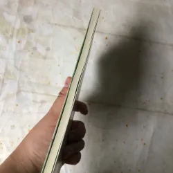 Mùa Hoa Trên Những Lối Sông - Võ Diệu Thanh 776989