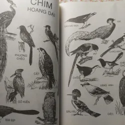 TỪ ĐIỂN SINH HỌC PHỔ THÔNG - BÌA CỨNG, KHỔ LỚN, CÓ MINH HỌA 732250