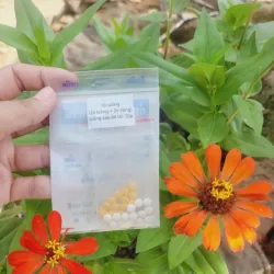 Detox khử mỡ Thái 971571