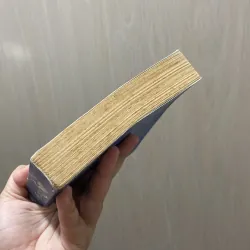 Nụ hôn của sói - Diệp Lạc Vô Tâm 960811