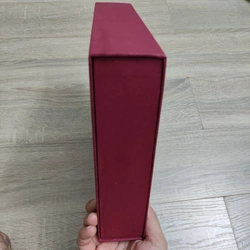 Sống Để Kể Lại Những Anh Hùng - Nguyễn Quang Chánh 508966