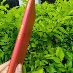 Thơ và từ của Mao Trạch Đông  960787