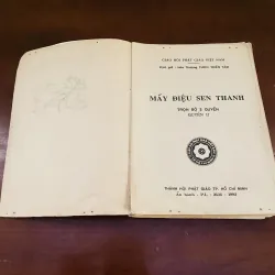 Mấy điệu sen thanh (1992) 998395