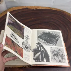 [Xem Kỹ Ảnh] - II Sách Lịch Sử: Con Người Trở Thành Khổng Lồ - 1982 1022276