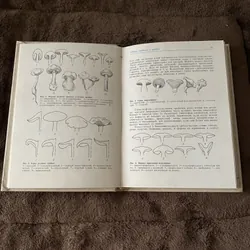 Thu hoạch và chế biến nấm 605073