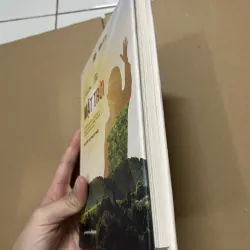 Vươn tới mặt trời 976959