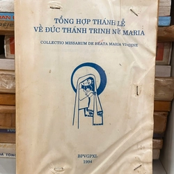 Tổng hợp thánh lễ về đức thánh trinh nữ Maria