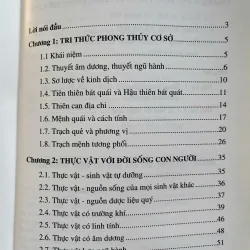 THỰC VẬT VÀ ỨNG DỤNG THỰC VẬT TRONG PHONG THỦY 759928