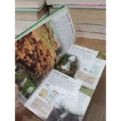 Nový kapesní atlas HOUBY - S. Evans, G. Kibby 740523