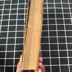 Zentralblatt für Bakteriologie, Parasitenkunde und Infektionskrankheiten 546912