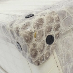 Túi xách Louis Vuitton da kỳ lạ mềm N81851 615632