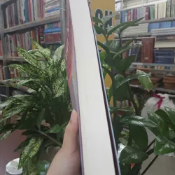 VIỆT NAM LÃNH THỔ VÀ CÁC VÙNG ĐỊA LÝ - LÊ BÁ THẢO 1033492