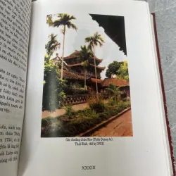 VIỆT NAM PHẬT GIÁO SỬ LUẬN ( BÌA CỨNG ) - NGUYỄN LANG 1030252