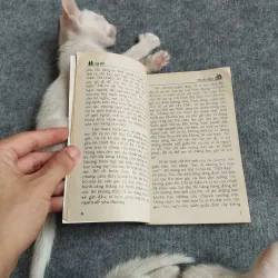 LÁ VỠ - ĐINH NGA 567791