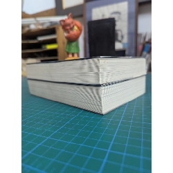 Tanya chiến ký - Carlo Zen