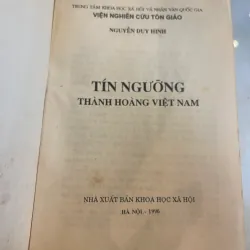 TÍN NGƯỠNG THÀNH HOÀNG VIỆT NAM - NGUYỄN DUY HINH  1027533