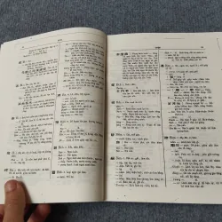 ĐẠI NAM QUỐC ÂM TỰ VỊ 729315