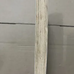 Mình là cá 1019866