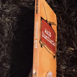 Axit Sunfuric 745621