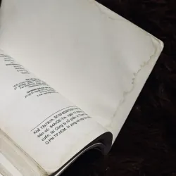 Và khi tro bụi 993241