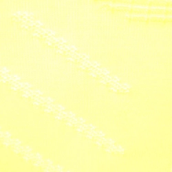 Áo thun PRADA - Hàng hiệu Chính hãng 644944