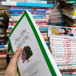 Những cuộc đời được biến đổi 🌱 545102